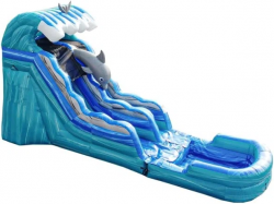 16’ Dolphin Slide w/ Water Slide Option