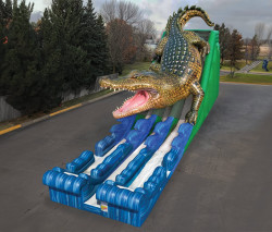 King Croc Dual Lane Slide